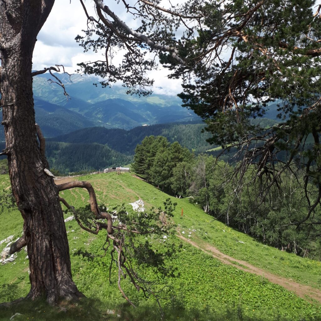 Amnesia - Morning mood