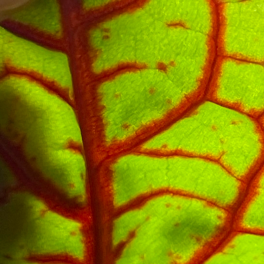 Dj Aton - Warm night