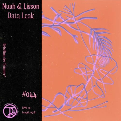 Lisson, NUAH - Data Leak
