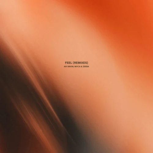 Zeeba, MVCA, Avi Snow - Feel (Joezi Extended Remix)