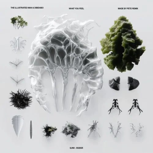 The Illustrated Man & DIBIDABO - What You Feel (Made By Pete Remix)