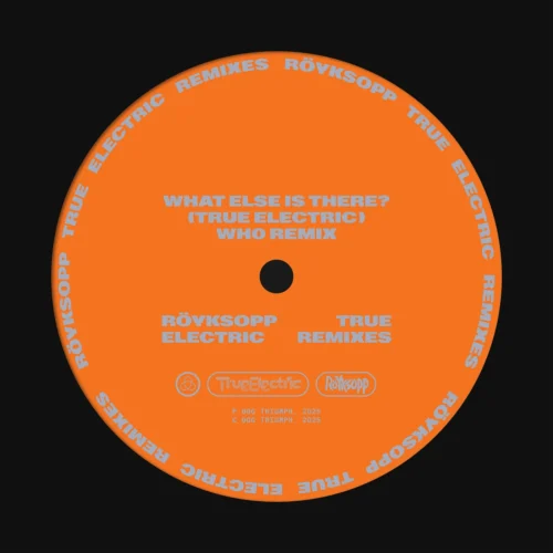 Röyksopp feat. Fever Ray - What Else Is There (Wh0 Remix)