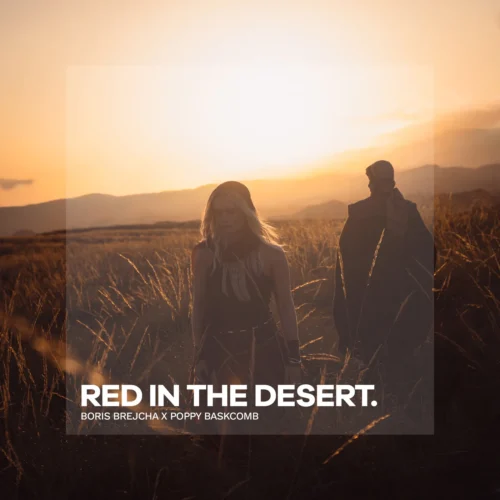 Boris Brejcha, Poppy Baskcomb - Red In The Desert