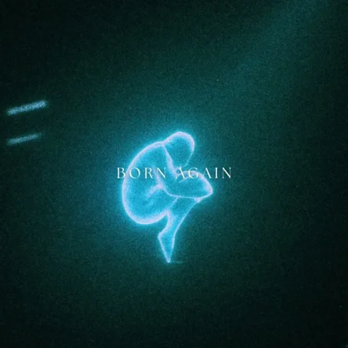 A New Love - Born Again