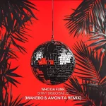 Who Da Funk - Shiny Disco Balls (Makebo & Amonita Remix)
